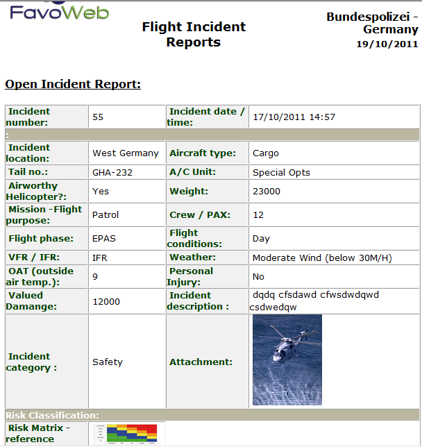 Flight Incident Report