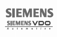 ALD Reliability Software Safety Quality Solutions SiemensVDO bw